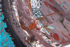 tergum-cassis_hohrein2.16